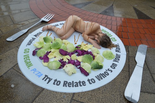 PETA Demo in Birmingham