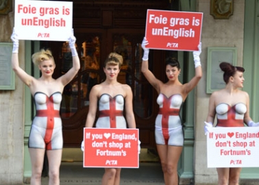 ‘If You ♥ England, Don’t Shop at F&M’, Say PETA Protesters on St George’s Day