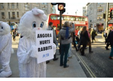Retailers Who Have Dropped Angora – the List