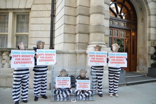 PETA Demo in Whitehall: 