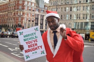 ‘The Apprentice’ Star Has a Holiday Surprise for Fur-Peddling Harvey Nichols