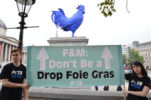 PETA Fortnum Mason banner at Hahn/Cock 