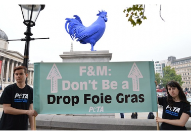 Fortnum & Mason: Don’t Be a…