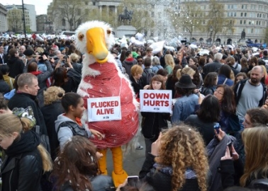 This Giant Goose Is Representing Birds in Epic Trafalgar Square Pillow Fight (Photos)