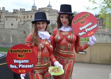 Sexy ‘Beefeaters’ Guard Animals This St George’s Day
