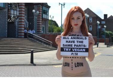 Flesh Is Flesh – All Animals Have the Same Parts: Try Vegan