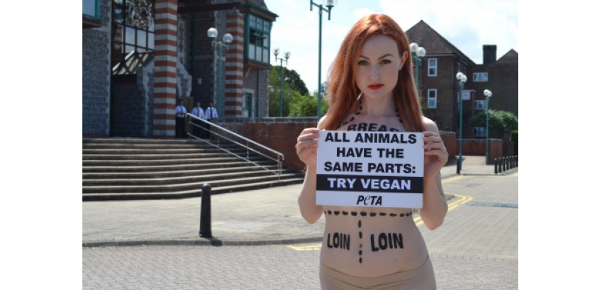 Flesh Is Flesh – All Animals Have the Same Parts: Try Vegan