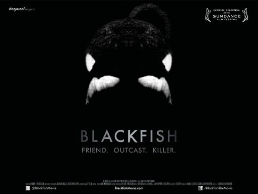 Blackfish Poster