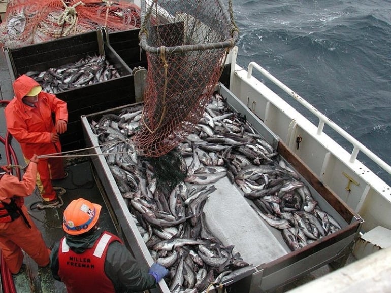 Fishing industry