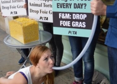 PHOTOS: Force-Feeding Outside Fortnum & Mason
