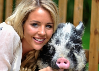 The Only Way Is Freedom: Lydia Bright and Mr Darcy Protest Proposed Pig Farm