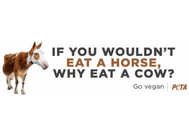 If You Wouldn’t Eat a Horse …