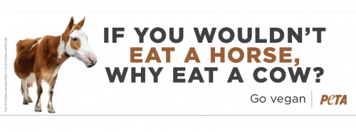 If you wouldn't eat a horse