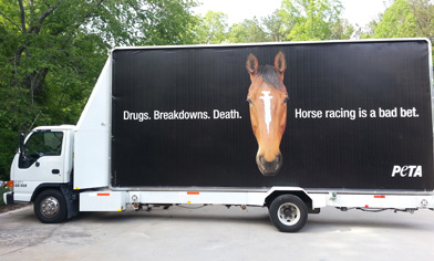 Drugs. Breakdown. Death. PETA Billboard at Kentucky Derby