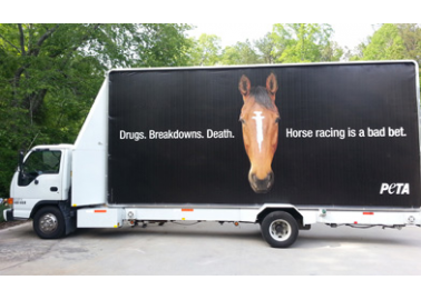 ‘Drugs. Breakdowns. Death.’ PETA US’ New Billboard Tells the Real Story of Horseracing