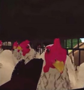 Virtual reality chicken project animal rights