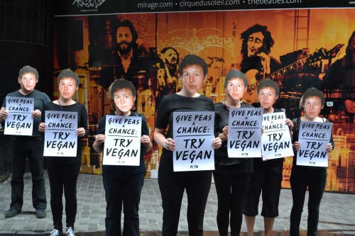 Paul McCartney vegetarian LIverpool flashmob