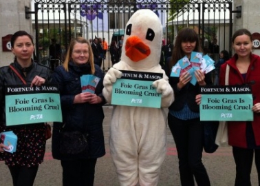 Activists Tell Fortnum & Mason Foie Gras Is ‘Blooming’ Cruel!