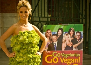 Chantelle Houghton Looks Good Enough to Eat in Lettuce-Leaf Minidress