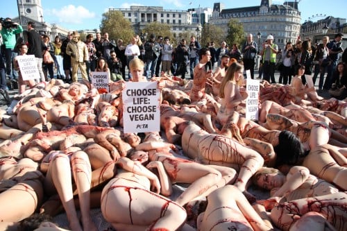 Trafalgar Square PETA UK