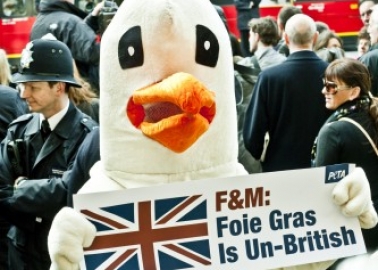 Patriotic Goose Highlights Foie Gras Cruelty to Royal Well-Wishers
