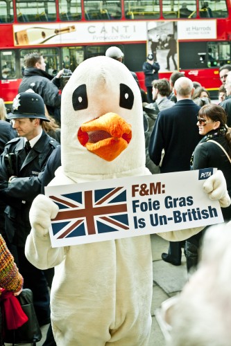 PETA's goose welcoming the Queen