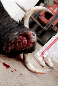 Spanish resistance to cruel bullfighting