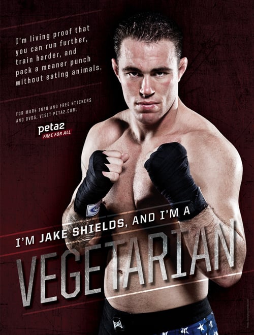 Jake Shields