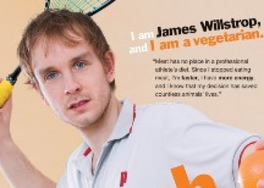 Closed: Win Squash Champion James Willstrop’s Signed Book and Racquet