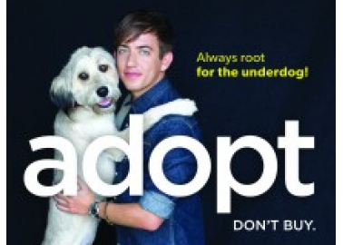 Kevin McHale of ‘Glee’ Roots for the Underdog