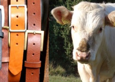 Leather and Meat Without Killing Animals?