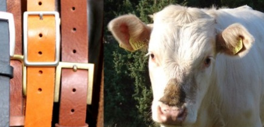 Leather and Meat Without Killing Animals? Leather and Meat Without Killing Animals?