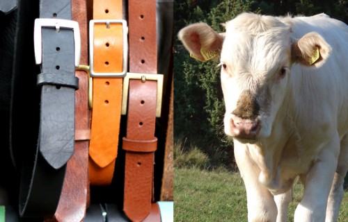 Leather and Meat Without Killing Animals?