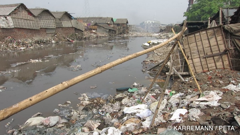 Leather Bangladesh Investigation Pollution Karreman credit