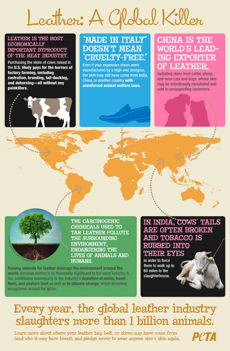 PETA Leather Inforgraphic