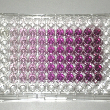 Non-Animal Research Methods and Tests