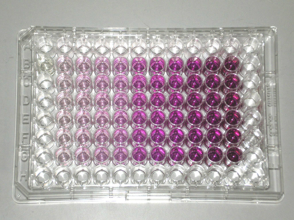 Non-Animal Research Methods and Tests | Animals Are Not Ours to Experiment On - PETA UK Non-Animal Research Methods and Tests | Animals Are Not Ours to Experiment On - PETA UK