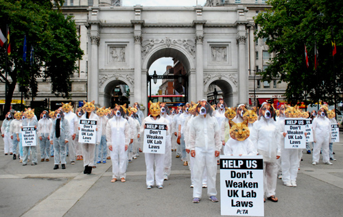 Marble Arch Animal Testing Demonstration