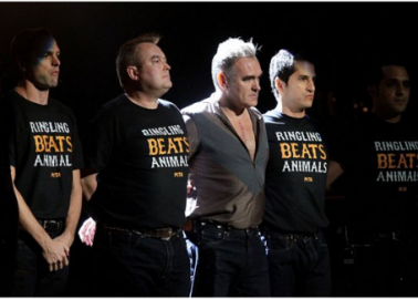 Morrissey Stands Up for Elephants