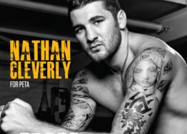 Nathan Cleverly: Knock Out Cruelty!