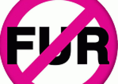 Spreading the Word on Fur-Free Friday!