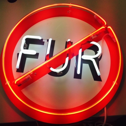 No fur sign