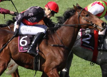 The Terrifying Moment When The Govaness Takes Fatal Fall at Cheltenham