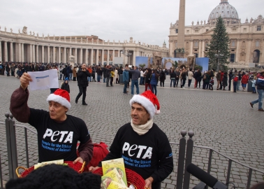 PETA Asks Pope to Celebrate a Cruelty-Free Christmas