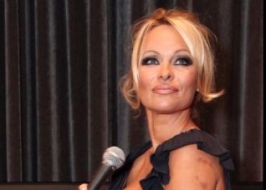 Campaign Update: Pamela Anderson Urges the Spanish Senate to Reject Bullfighting Bill