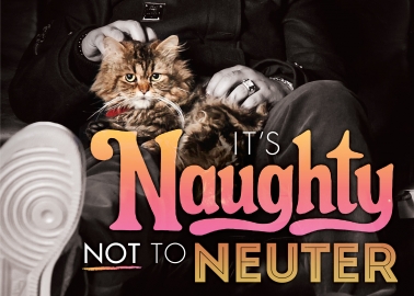 It’s Naughty Not to Neuter