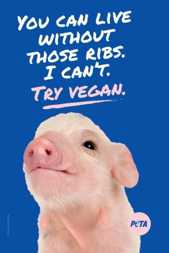 You Can Live Without Those Ribs - I Can't! Try Vegan