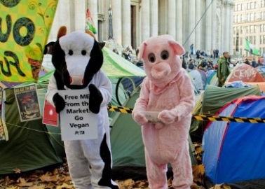 PETA’s ‘Pig’ and ‘Cow’ Join the 99 per Cent