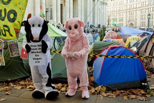 PETA's 'pig' and 'cow' outside St. Paul's Cathedral