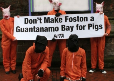 ‘Pig Prisoners’ Protest Foston Factory Farm, ‘Guantanamo Bay for Pigs’